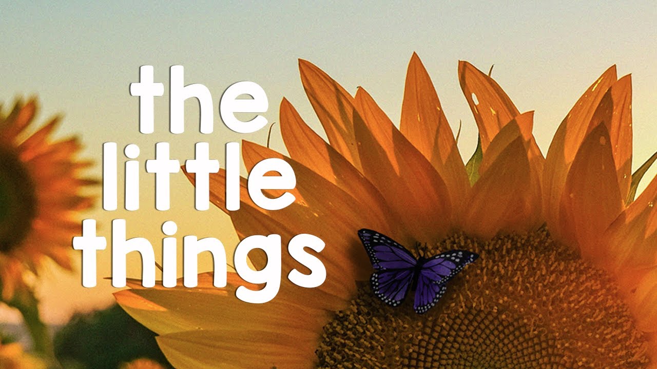 The Little Things