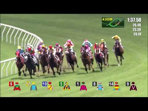 29/5/2022 (703) Robot Warrior -  Vincent Ho