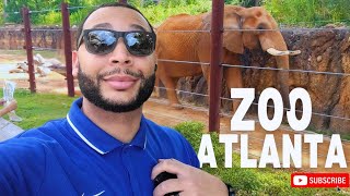 The Pandas are Leaving Forever 🐼 | Zoo Atlanta