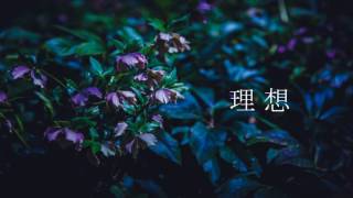 - escape / Lily