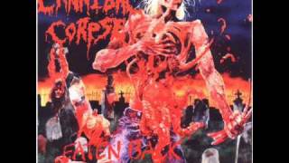 Cannibal Corpse - A Skull Full of Maggots