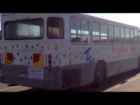 TransPerth bus got hand prints printed  and little spiders