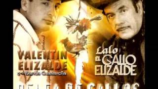 Lalo El De Guadalajara (En Vivo) - Valentin Elizalde