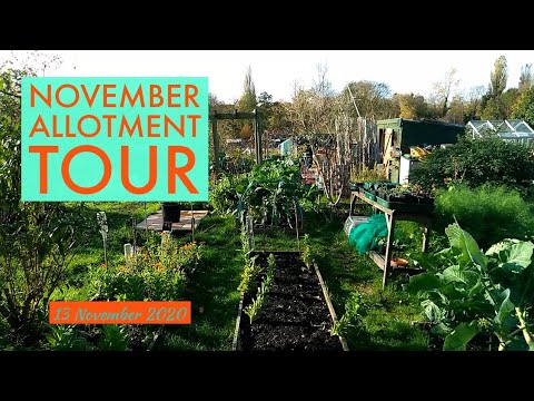 November Allotment Tour (UK), 13/11/2020