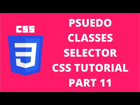 Pseudo Classes Selector Hierarchy CSS | CSS Tutorial Part 11