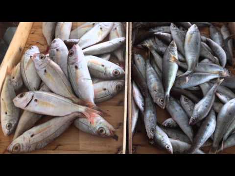 RAISI CICCU (Salvatore Bonafede & Pierre Vaiana)