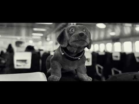 Lorenzo al Dino - Far from home