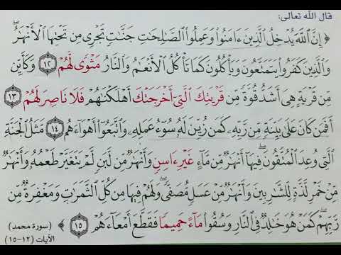 (سورة محمد) الآيات(12-15) للقارئ ياسر الدوسري