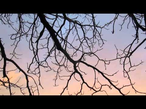 Hush Forever - Akureyri-Ibiza (Don't get stuck on the level of words)