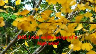 How can I leave you again +lyrics -John Denver - 武陵 TAIWAN