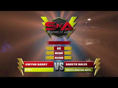 Shock N Awe 27 - Pro MMA Gwyn Barry Vs Gareth Hales