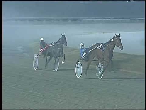 Trotto 03/01/2017 - 7ª corsa