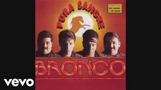 Bronco - Cerré las Puertas de Mi Alma (Cover Audio)