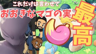 ミュウツーイベント途中経過雑談回！デカいマゴのみは神！【ポケモンスリープ】