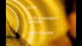 Nothing Lasts Forever- Echo and the Bunnymen