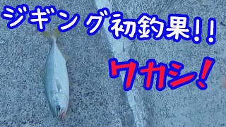 ジギングで初めて魚を釣った！