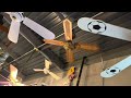 Fanimation Museum 2025