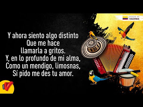 Llegaste A Mí, Silvio Brito, Video Letra - Sentir Vallenato