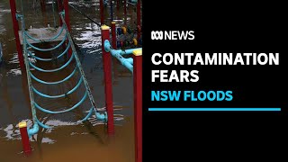 As clean up begins after NSW floods, contaminated water creates further risks | ABC News