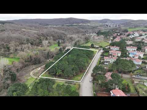 ARIKÖYDE KIYMETLİ AĞAÇ VE KORULARIMIZ