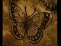The Butterfly Effect Beautiful Mine Official Video