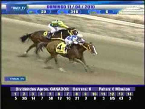 Resumen domingo 11 de abril 2010 - La Rinconada