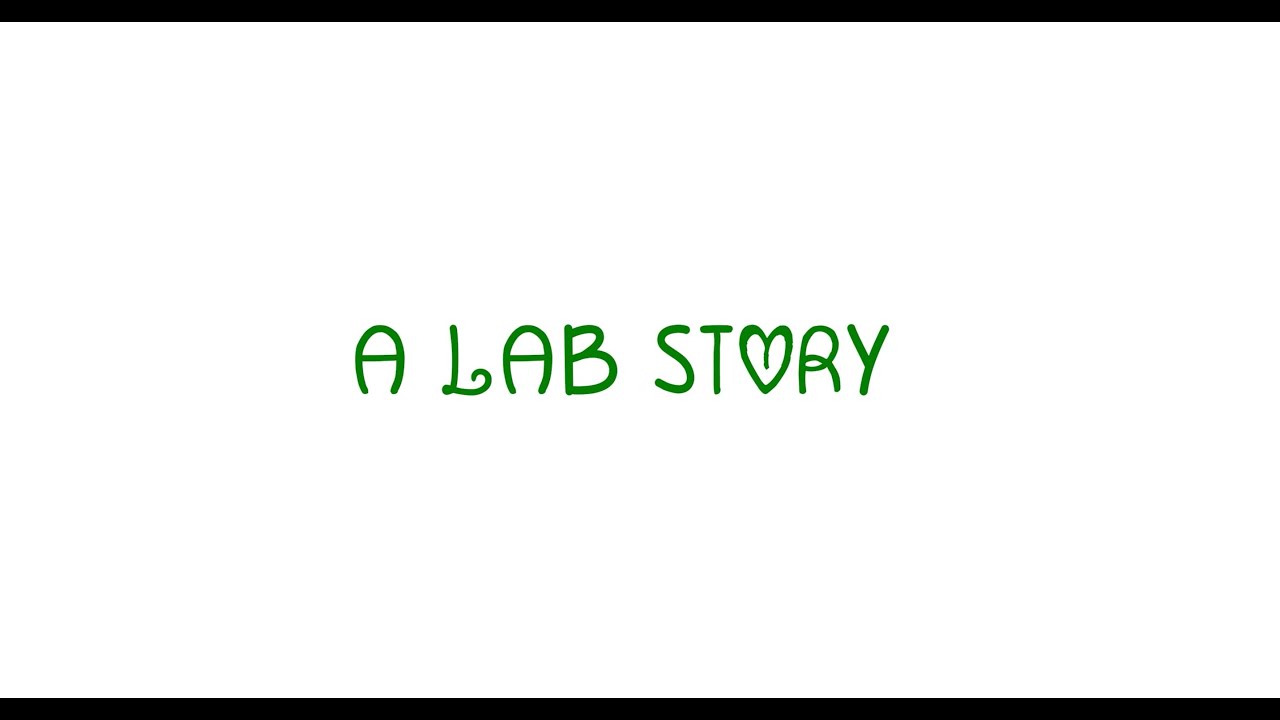 “A Lab Story” (2024)