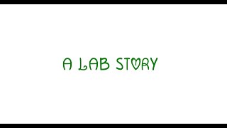 “A Lab Story” (2024)