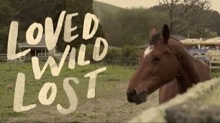 Nicki Bluhm and The Gramblers - Loved Wild Lost (Album Trailer II)