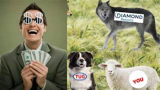 TUG2 Timeshare Users Group is a SCAM