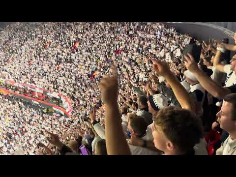 Freed From Desire Celebrations When Spurs Won The Europa League 2025 #tottenham #football