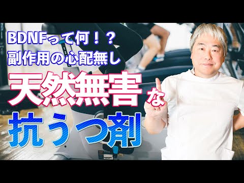 猫用の天然精神安定剤