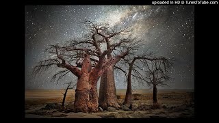 Trance Mission - Bindi - (Meanwhile 1995)