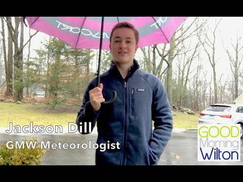 Wilton Forecast