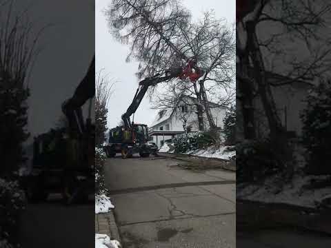 Spezialholzerei Forstdienste & Naturstrassen