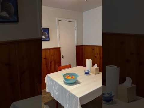 3834 Hyde Park - Video 2 of 2