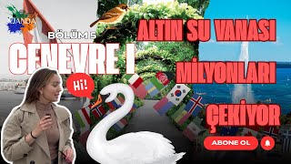 Cenevre, İsviçre | Birleşmiş Milletler, Kuğu Saliha ve Göl Canavarı (B5)