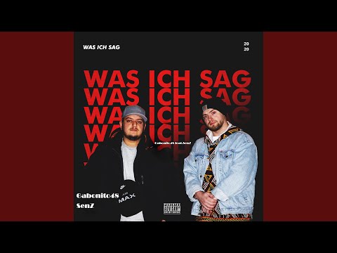 Was Ich Sag (feat. SenZ)