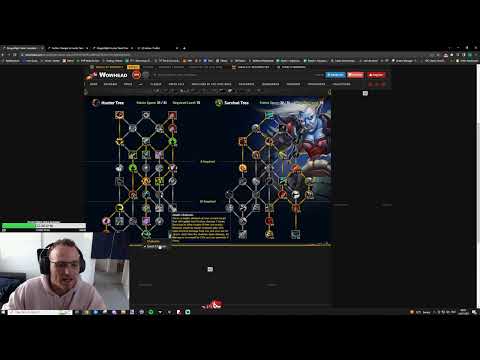 SURVIVAL HUNTER DRAGONFLIGHT ALPHA TALENT FIRST IMPRESSIONS -