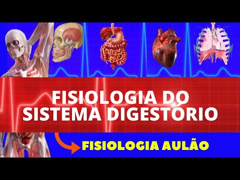 FISIOLOGIA DO SISTEMA DIGESTÓRIO (FISIOLOGIA DE GUYTON) - FISIOLOGIA HUMANA (AULÃO COMPLETO)