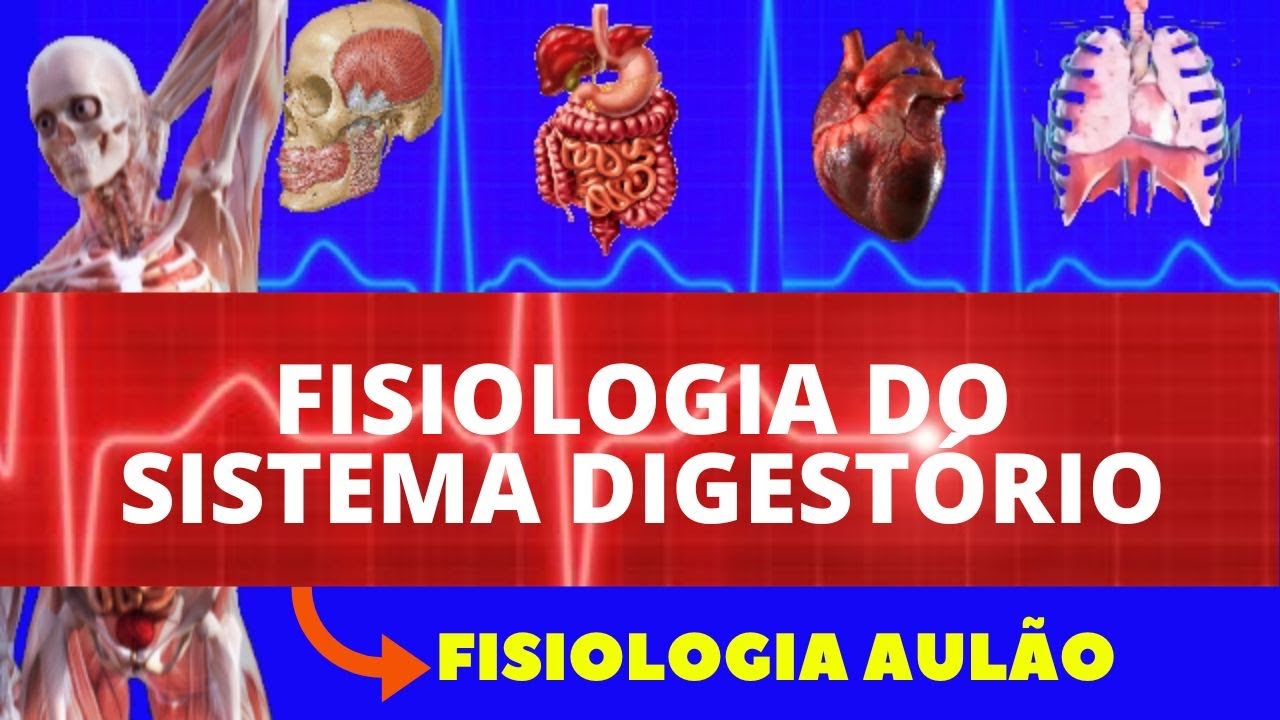 FISIOLOGIA DO SISTEMA DIGESTÓRIO (FISIOLOGIA DE GUYTON) - FISIOLOGIA HUMANA (AULÃO COMPLETO)