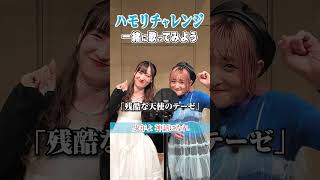 【ハモリチャレンジ】ボイストレーナーが本気でハモってみた