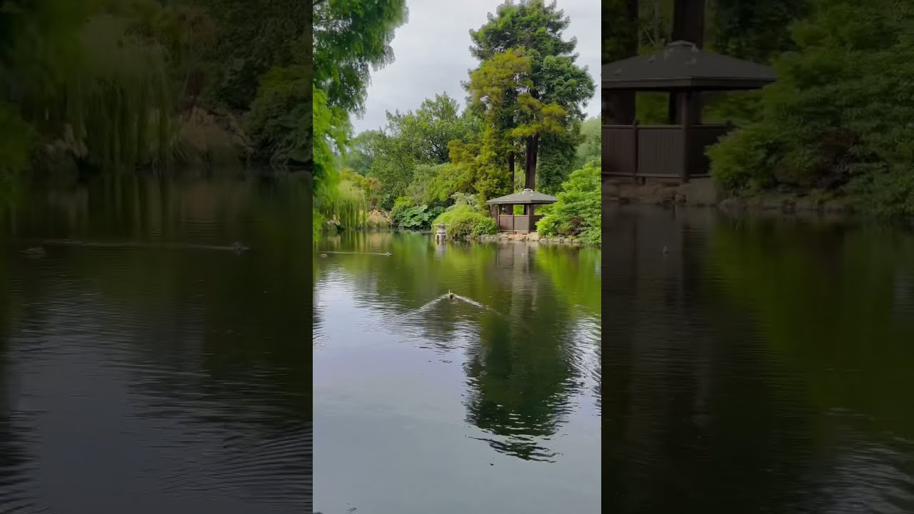 YouTube Short thumbnail