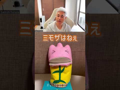 園芸 ミモザ控えめ、センシティブ控えめ