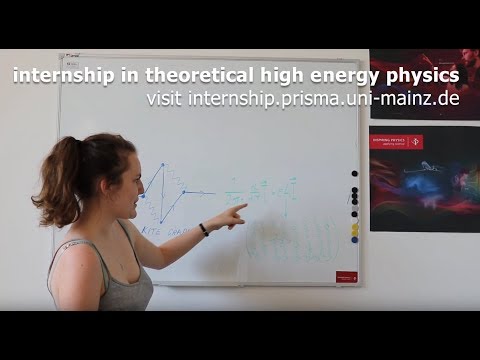 Kirsten (UK) worked on master integrals in the Weinzierl group