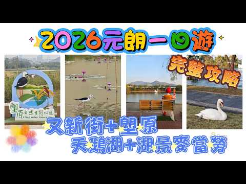 【香港好去處】2026元朗一日遊 | 完整攻略 | 又新街 | 塱原生態公園 | 錦綉花園天鵝湖 | 湖景麥當勞