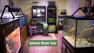 Animal Room Tour Dec. 2017 (70+ Animals) - Updates &amp; Sneak Peeks