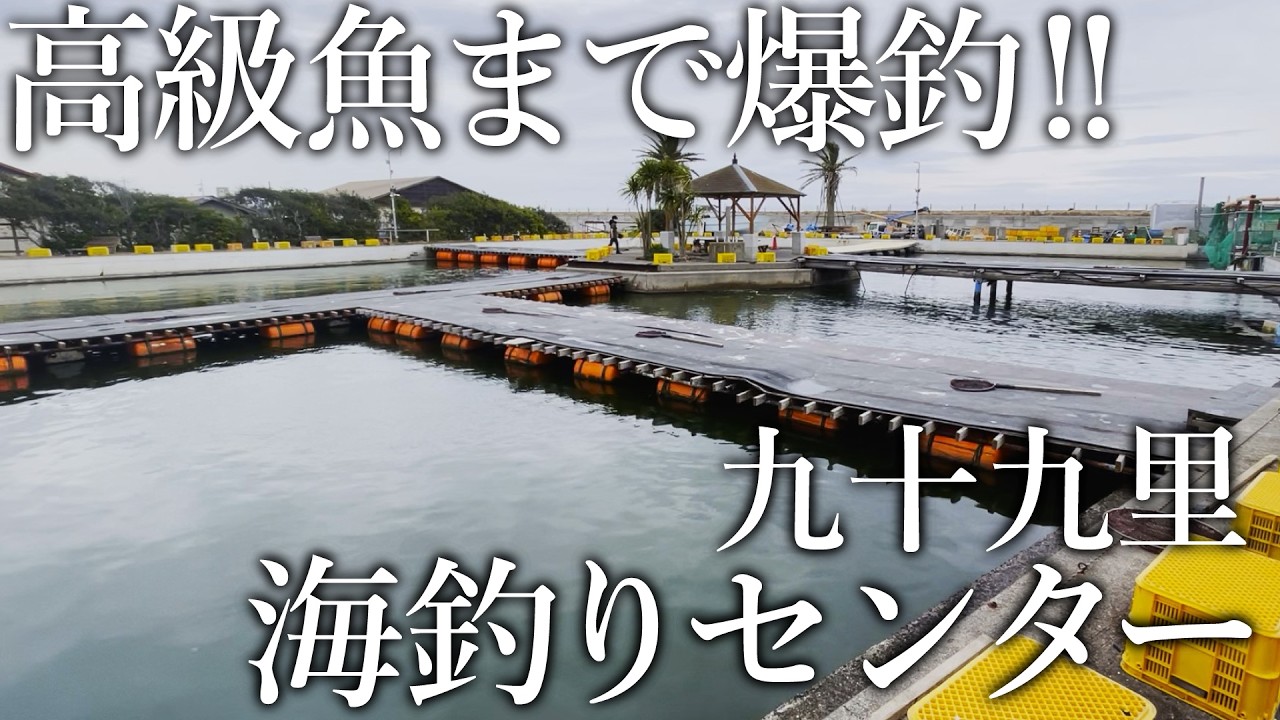 まさに釣り人の楽園！青物や高級魚が釣れまくるポツンと釣り堀がすごい［九十九里海釣りセンター］