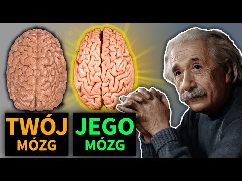 Co sprawiło, że Einstein był geniuszem?