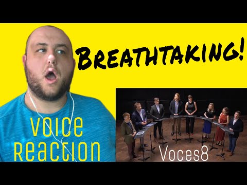 Voces8 "A Boy and a Girl" | Voice Teacher Reaction